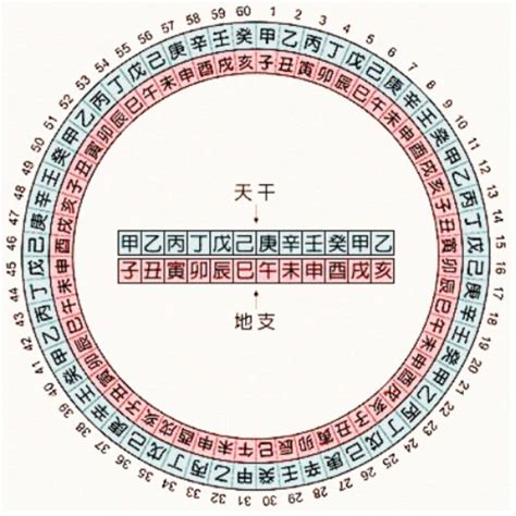 天干地支表查詢|干支对照表